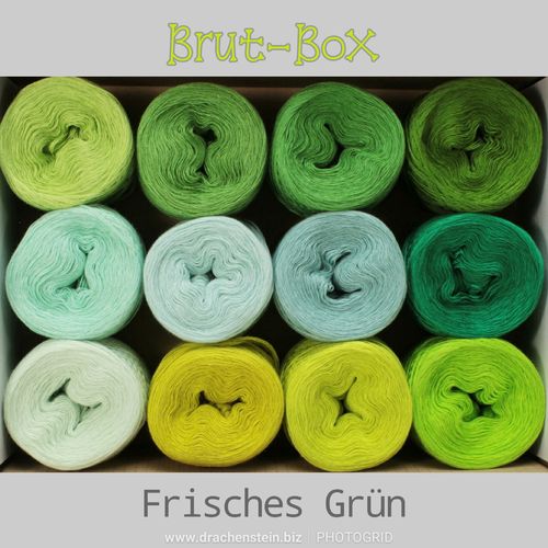 Brut-Box Frisches Grün