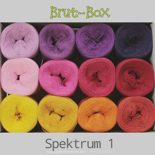 Brut-Box Spektrum 1