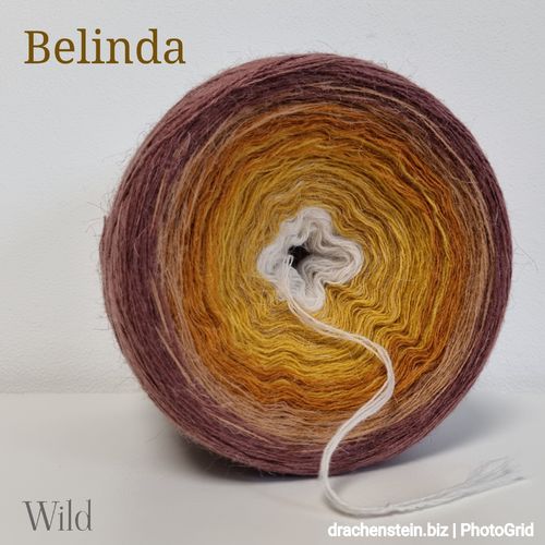 Wild Belinda