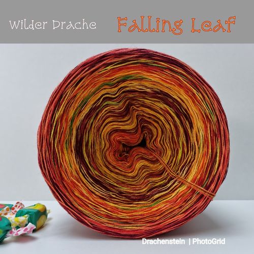 Wilder Drache Falling Leaf