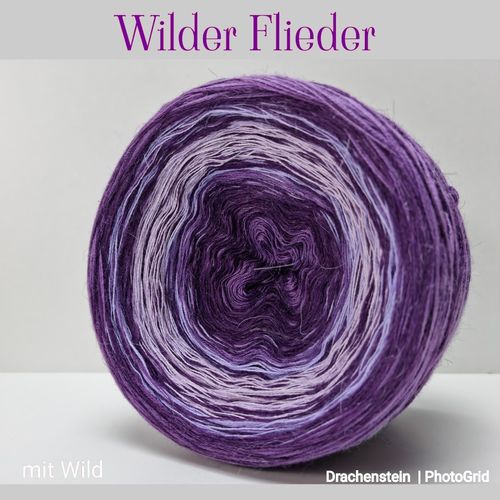 Wilder Flieder