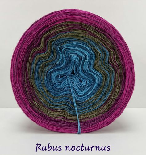 Rubus nocturnus
